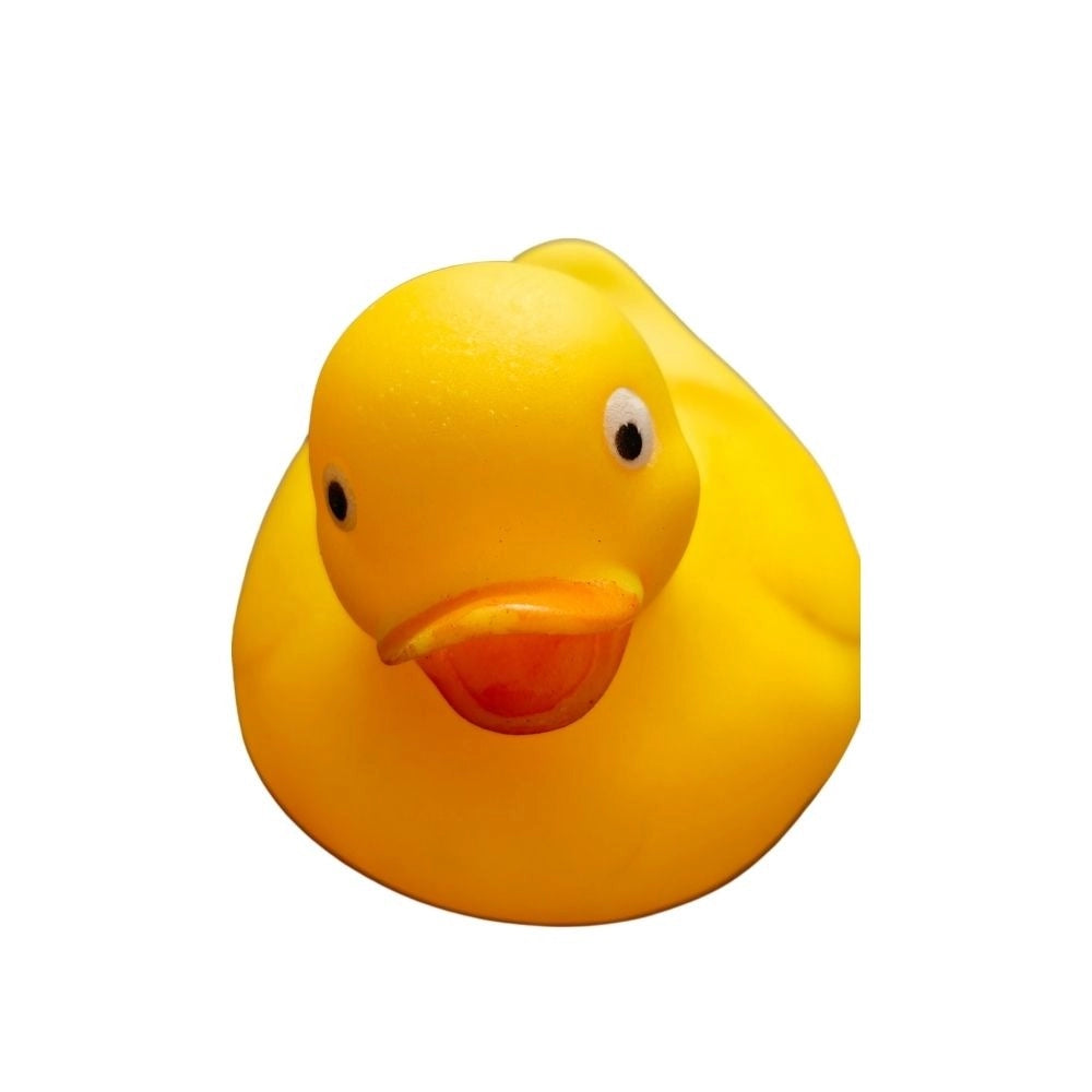 Lamp-Kitten-Duck-Bear Mixed Chu Chu Toys |   Rubber  |   Toys | 6+ Months